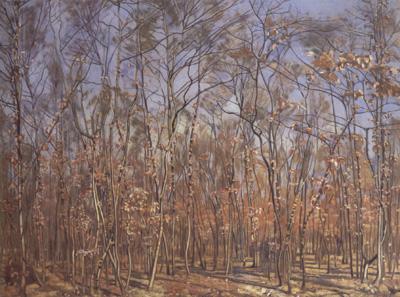 Ferdinand Hodler The Beech Forest (nn02) oil painting picture
